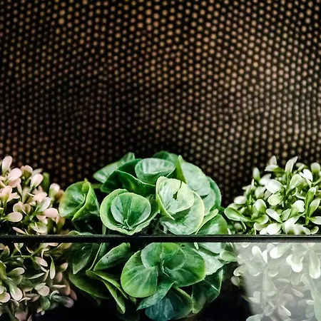 Hollo - Private Garage - A/c * ブダペスト