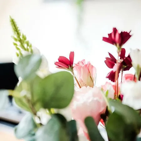 Hollo - Private Garage - A/c アパート *