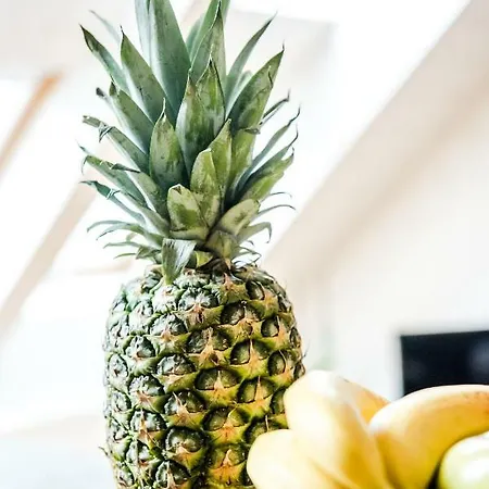 Hollo - Private Garage - A/c *